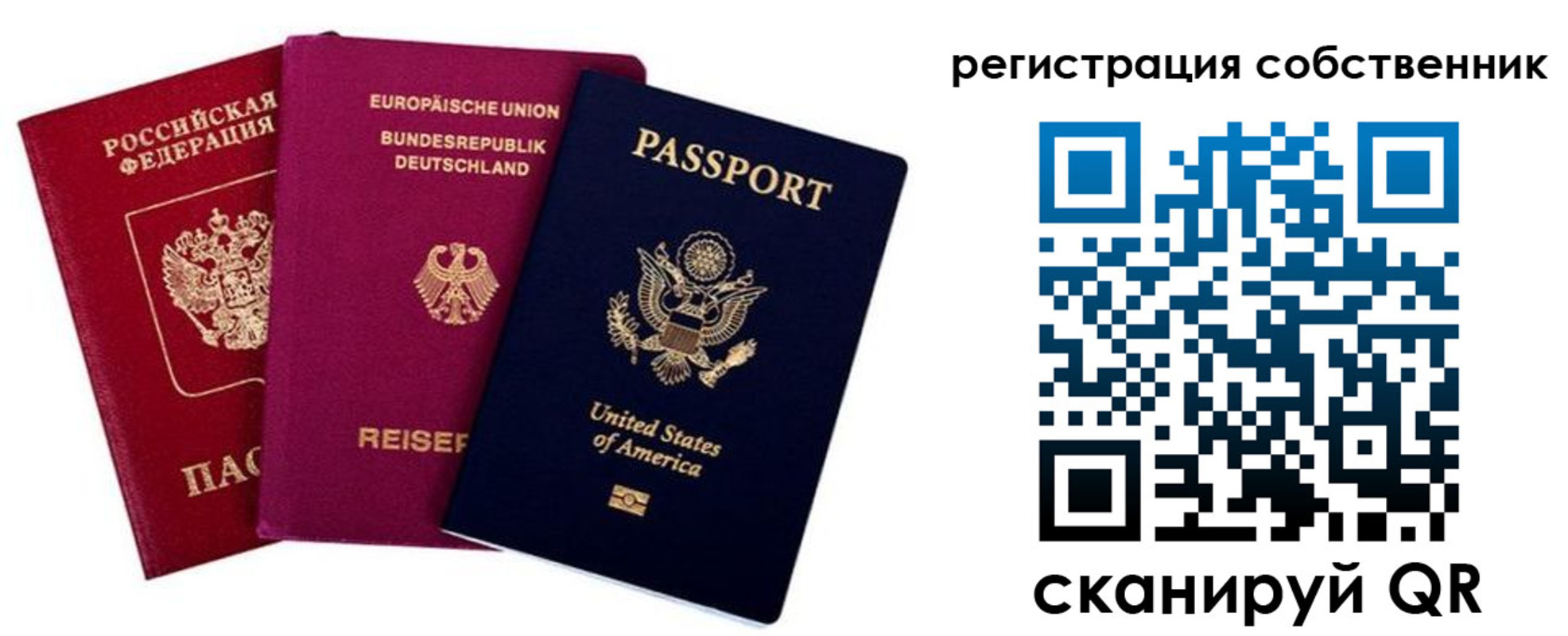 прописка гарантия в Вельске